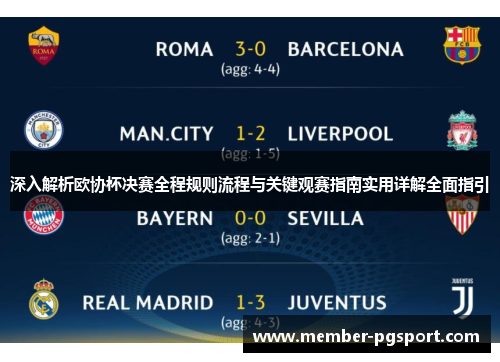 深入解析欧协杯决赛全程规则流程与关键观赛指南实用详解全面指引